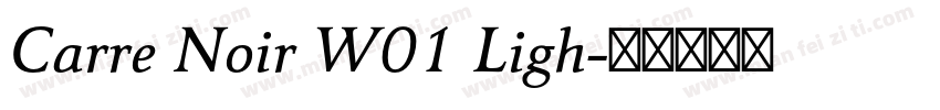 Carre Noir W01 Ligh字体转换